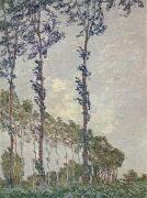 WInd Effect,Sequence of Poplars Claude Monet